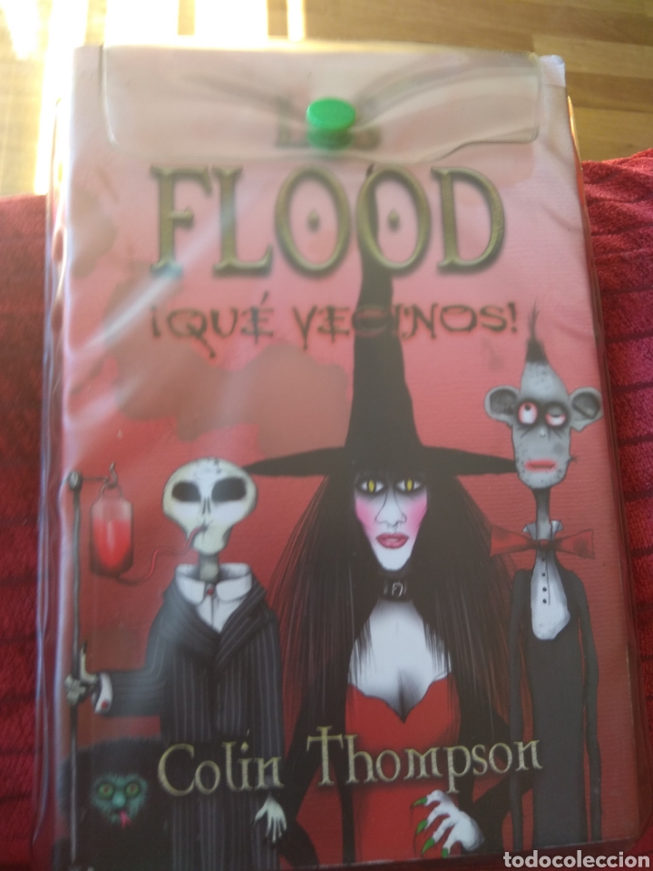 Libros de segunda mano: Flood que vecinos Colin Thompson - Foto 1