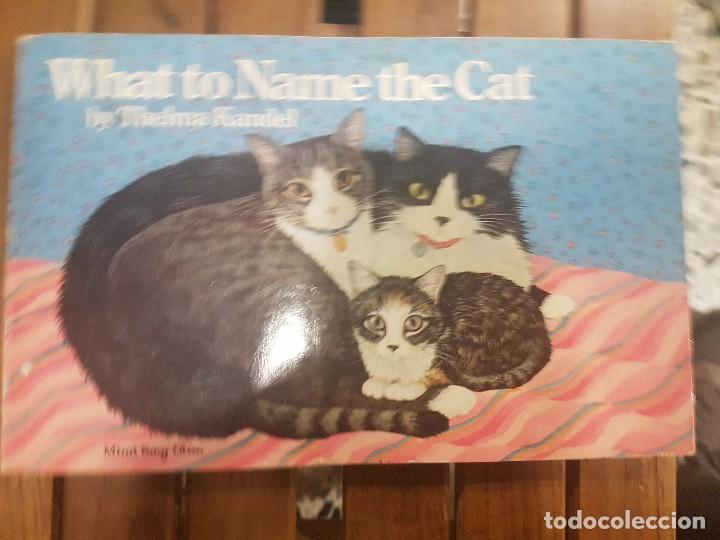 Libros de segunda mano: WHAT TO NAME THE CAT. EN INGL&Eacute;S - Foto 1