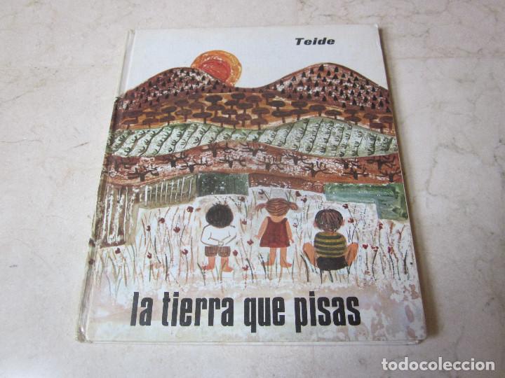 Libros de segunda mano: AMELIA BENET - LA TIERRA QUE PISAS - EDITORIAL  TEIDE - Foto 1