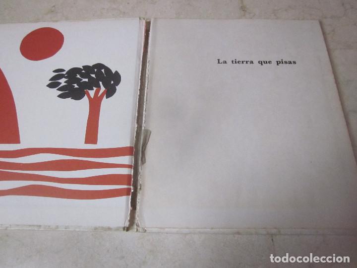 Libros de segunda mano: AMELIA BENET - LA TIERRA QUE PISAS - EDITORIAL  TEIDE - Foto 2