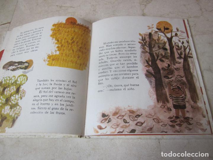 Libros de segunda mano: AMELIA BENET - LA TIERRA QUE PISAS - EDITORIAL  TEIDE - Foto 3