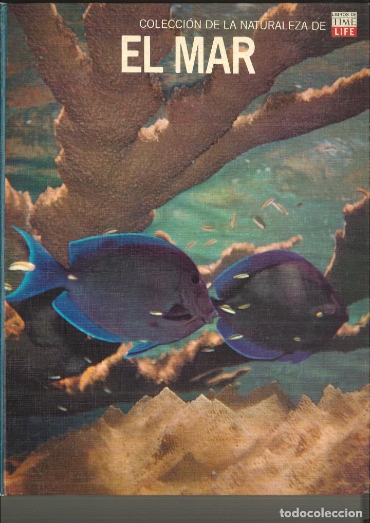 Libros de segunda mano: EL MAR. Leonard Engel - Foto 1