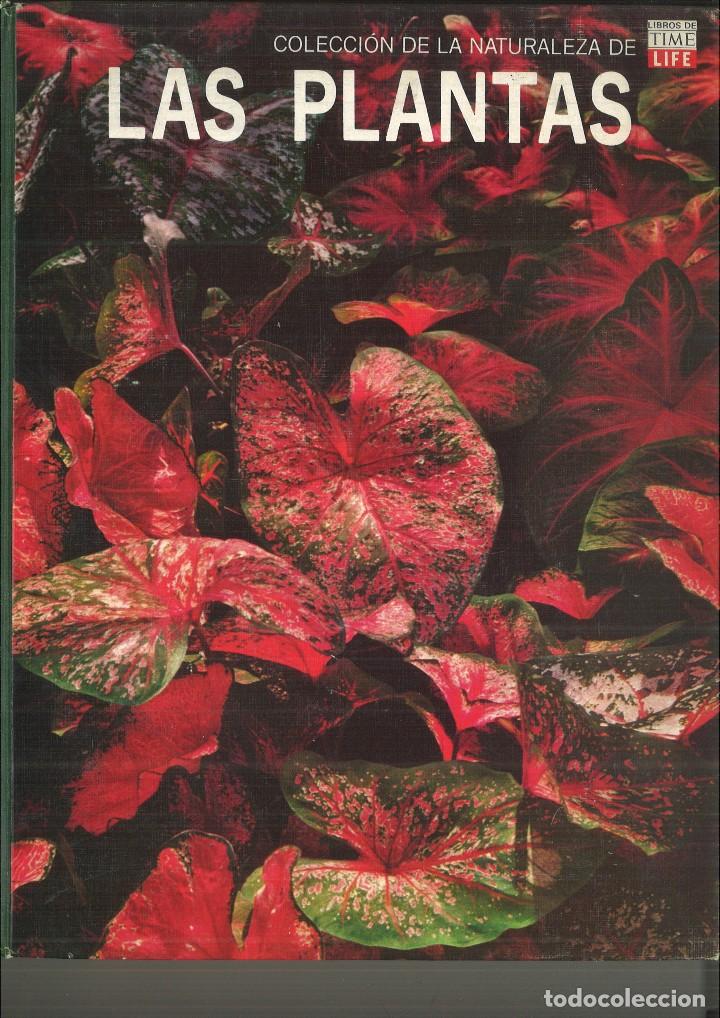 Libros de segunda mano: LAS PLANTAS. Frita W. Went - Foto 1
