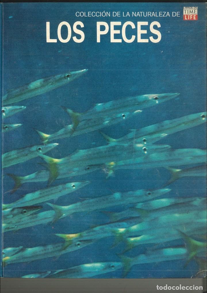 Libros de segunda mano: LOS PECES. F. D. Ommanney - Foto 1