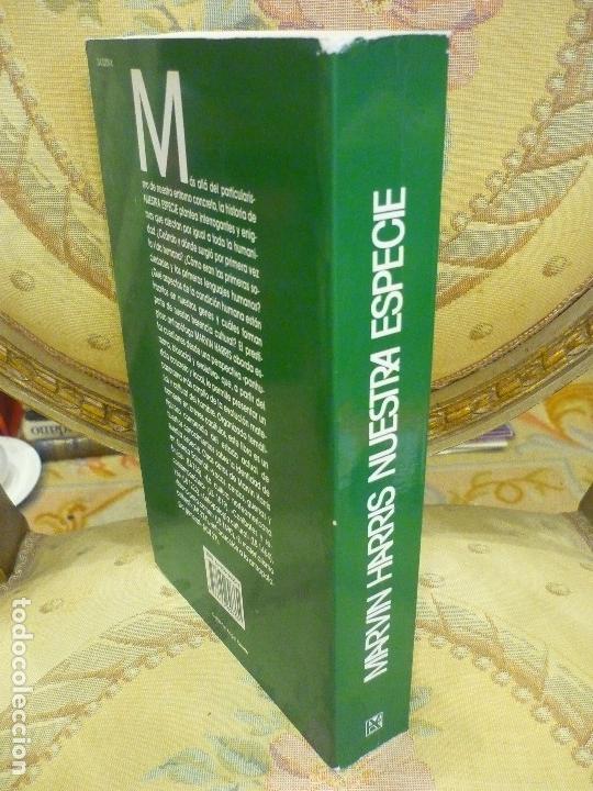 Libros de segunda mano: NUESTRA ESPECIE, DE MARVIN HARRIS. - Foto 2