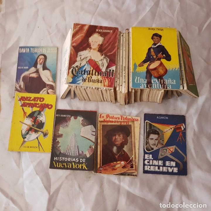 Libros de segunda mano: LOTE DE 48 LIBRITOS COLECCION PULGA - Foto 10