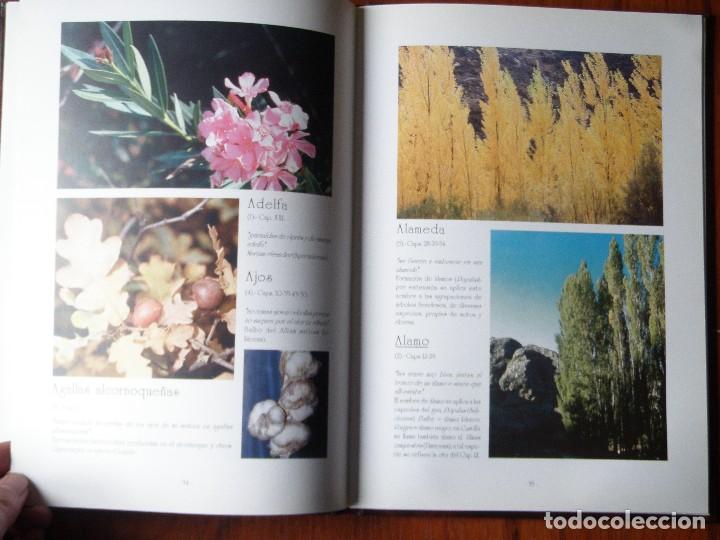 Libros de segunda mano: LIBRO LA FLORA DEL QUIJOTE - Foto 3