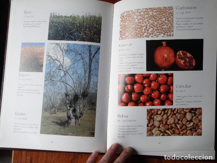 Libros de segunda mano: LIBRO LA FLORA DEL QUIJOTE - Foto 4