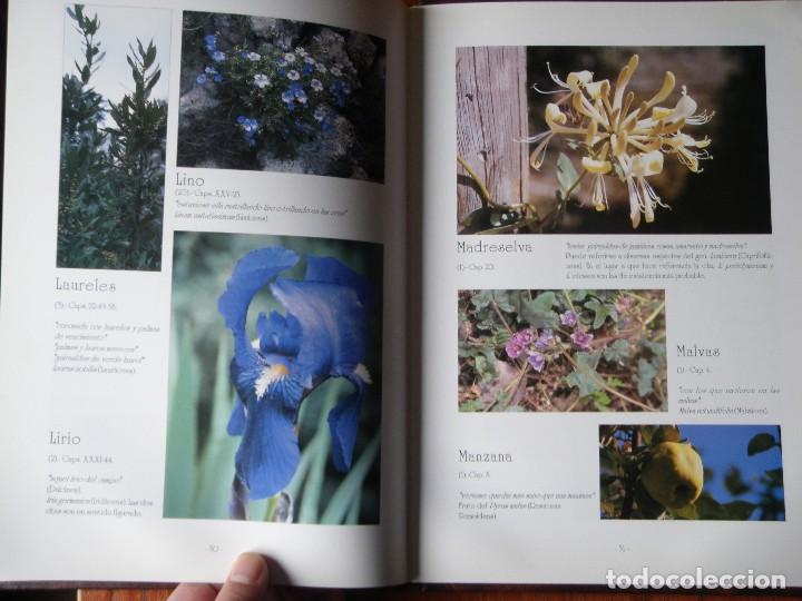 Libros de segunda mano: LIBRO LA FLORA DEL QUIJOTE - Foto 5