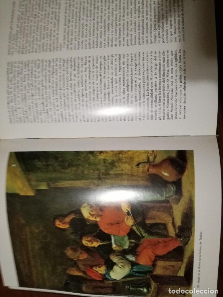 Libros de segunda mano: MUSEOS DE ESPA&Ntilde;A. DOS VOLUMENES. EDITORIAL EVEREST. - Foto 9