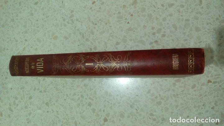 Libros de segunda mano: ENCICLOPEDIA DE LA VIDA (I). BRUGUERA - Foto 5