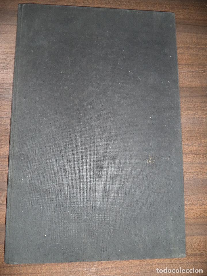 Libros de segunda mano: H&Auml;STAR & HOPPING. INGVAR FREDRICSON. BECKMANS. LIBRO EN INGLES. 1972. - Foto 3