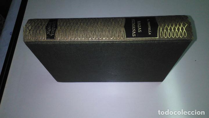 Libros de segunda mano: VL * RAZAS HUMANAS * A. PANYELLA * HISPANIA SOPENA 1979 * - Foto 1