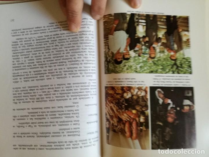 Libros de segunda mano: Xose Posada. Os Vi&ntilde;os de Galicia. - Foto 4