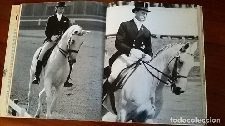 Libros de segunda mano: El gran libro del caballo. H H Isenbart. E M Buhrer. - Foto 2