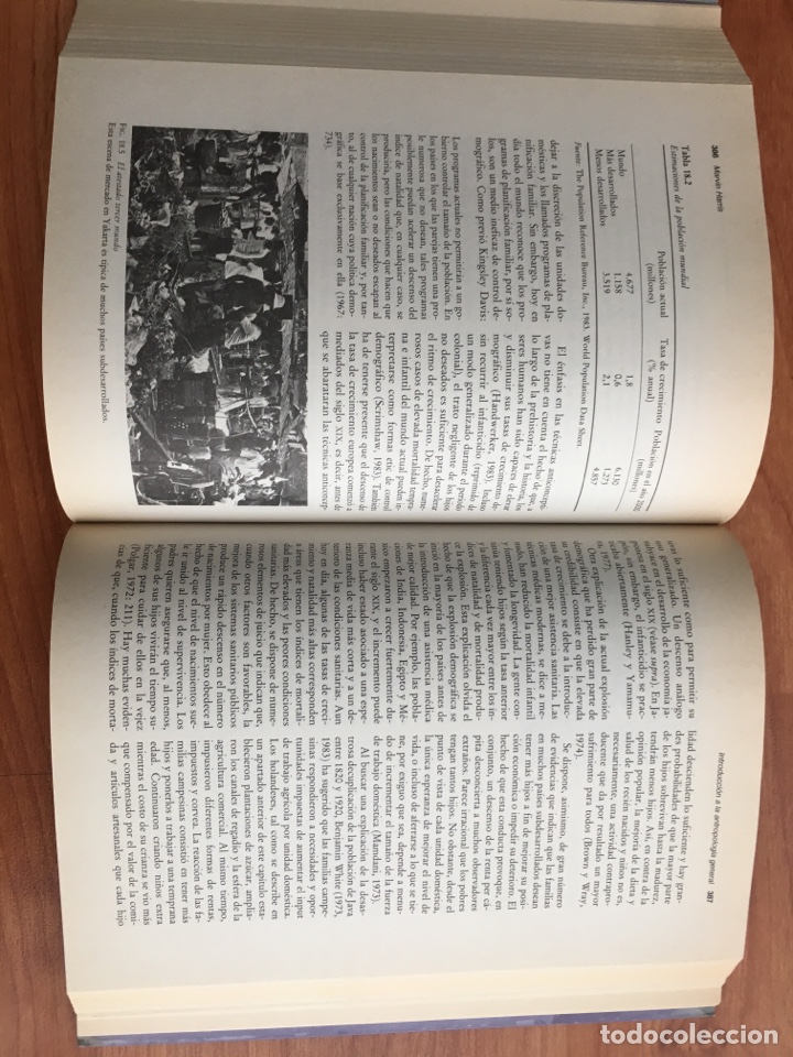 Libros de segunda mano: Introducci&oacute;n a la antropolog&iacute;a general. Marvin Harris. Alianza 1985 - Foto 5