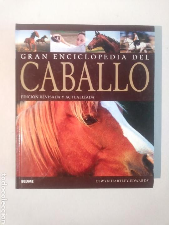 Libros de segunda mano: GRAN ENCICLOPEDIA DEL CABALLO - Foto 1