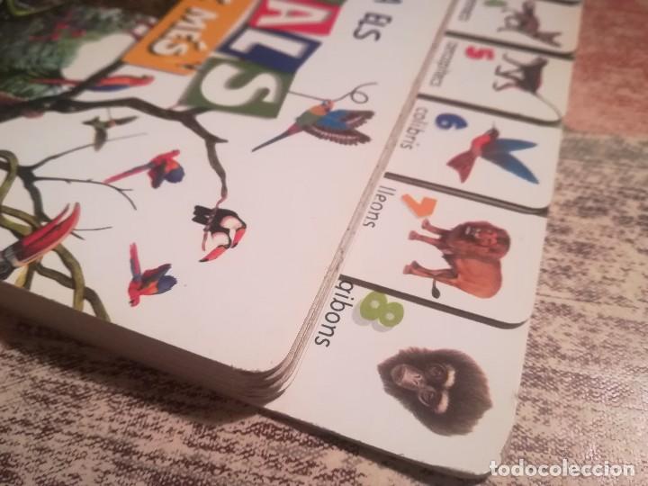 Libros de segunda mano: Troba els animals en selves i m&eacute;s - Susaeta - en catal&agrave; - Foto 3