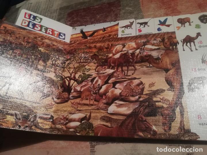 Libros de segunda mano: Troba els animals en selves i m&eacute;s - Susaeta - en catal&agrave; - Foto 4