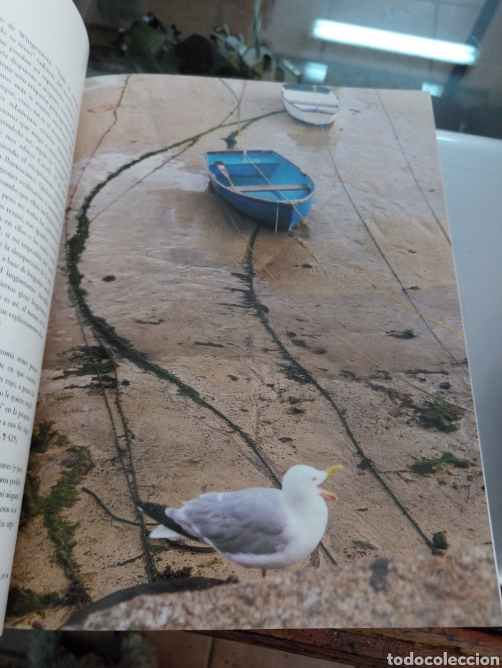 Libros de segunda mano: KAL&Iacute;AS - N&ordm; 23/24 - REVISTA DE ARTE - ILUSTRADA - Foto 4
