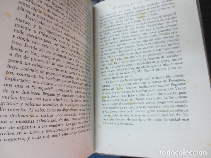 Libros de segunda mano: ESCALADAS EN LOS ANDES EDWARD WHYMPER EDIT JUVENTUD A&Ntilde;O 1953 - Foto 2