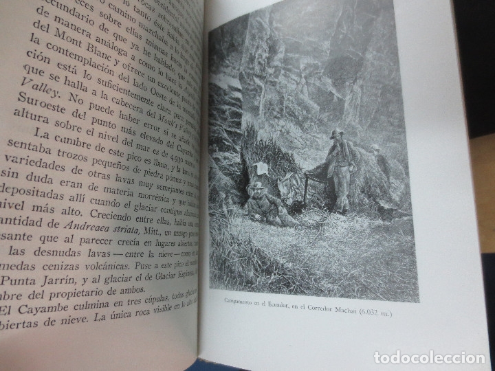 Libros de segunda mano: ESCALADAS EN LOS ANDES EDWARD WHYMPER EDIT JUVENTUD A&Ntilde;O 1953 - Foto 3