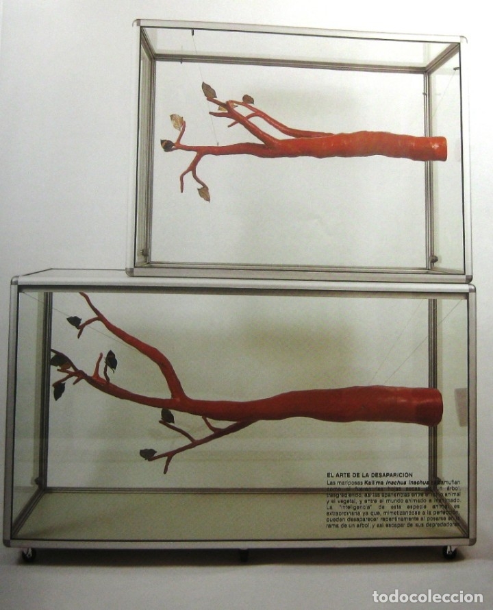 Libros de segunda mano: &lsquo;EL FINAL DEL ECLIPSE. EL ARTE DE AM&Eacute;RICA LATINA EN LA TRANSICI&Oacute;N AL SIGLO XXI&rsquo; (2001), IMPECABLE - Foto 10