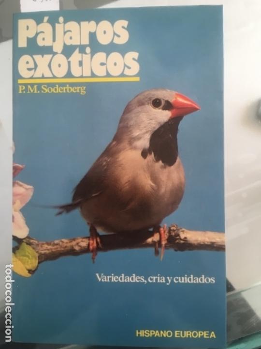 Libros de segunda mano: PAJAROS EXOTICOS, P M SODERBERG - Foto 1
