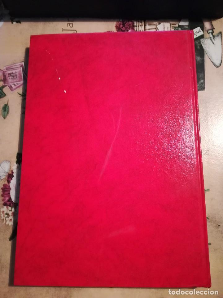 Libros de segunda mano: International Yearbook 1981 - en ingl&eacute;s - Foto 2