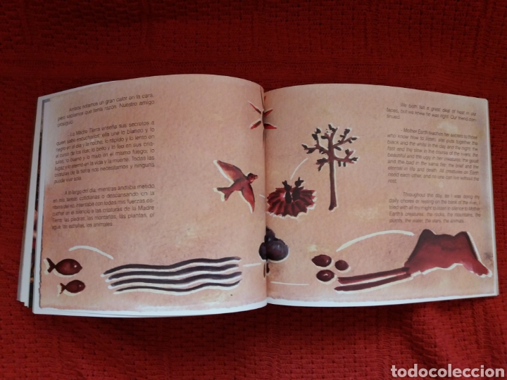 Libros de segunda mano: EL SECRETO DE LAS PIEDRAS BLANDAS EDICION BILING&Uuml;E ESPA&Ntilde;OL E INGL&Eacute;S - Foto 5