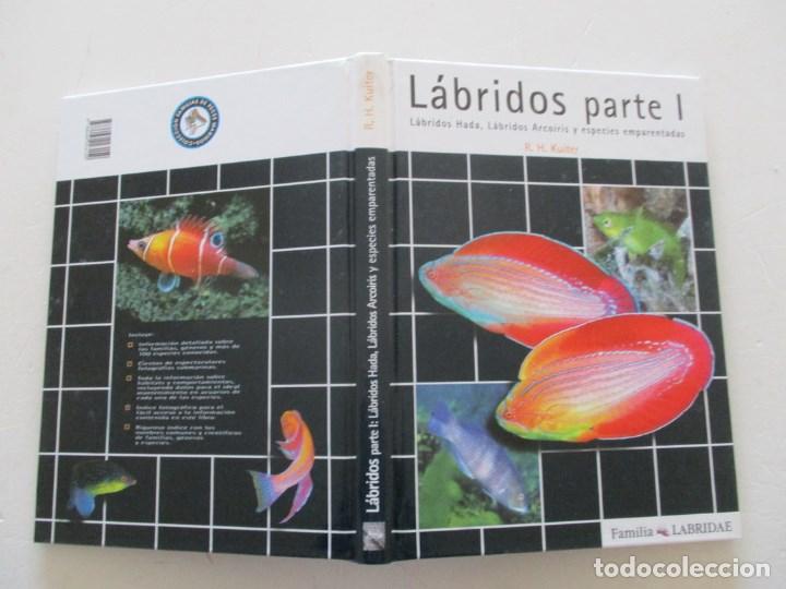 Libros de segunda mano: L&aacute;bridos parte I: L&aacute;bridos Hadas, L&aacute;bridos Arco&iacute;ris y especies emparentadas.   RM86661 - Foto 1