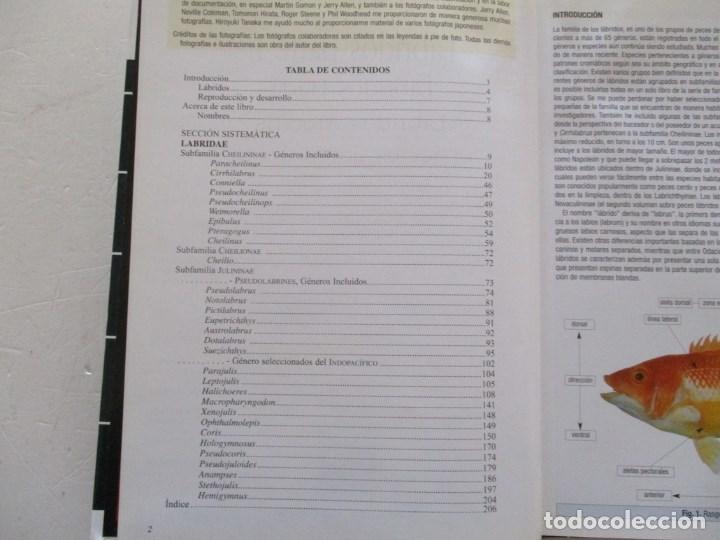 Libros de segunda mano: L&aacute;bridos parte I: L&aacute;bridos Hadas, L&aacute;bridos Arco&iacute;ris y especies emparentadas.   RM86661 - Foto 2
