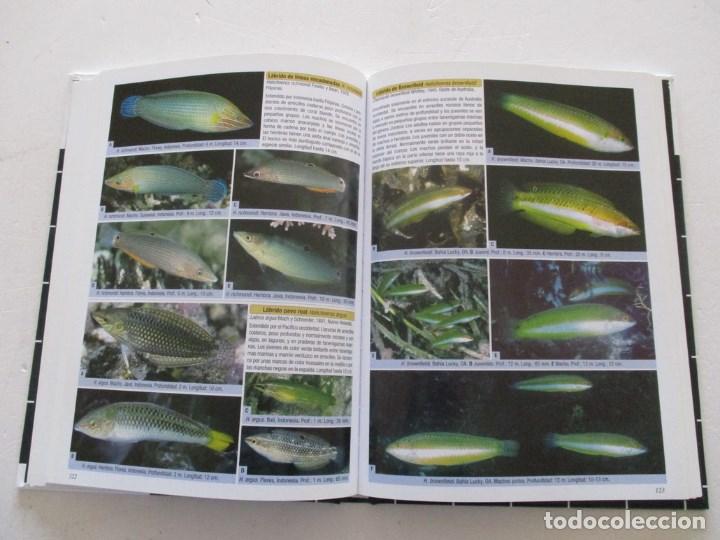 Libros de segunda mano: L&aacute;bridos parte I: L&aacute;bridos Hadas, L&aacute;bridos Arco&iacute;ris y especies emparentadas.   RM86661 - Foto 5