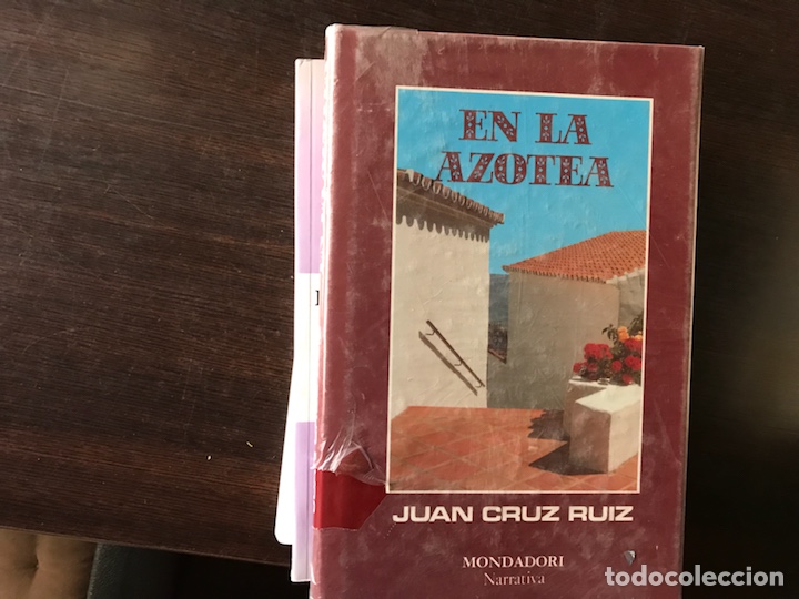 Libros de segunda mano: En la azotea. Juan Cruz Ruiz - Foto 1