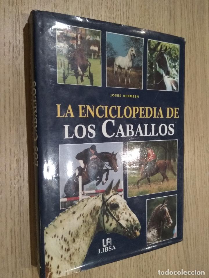 Libros de segunda mano: LA ENCICLOPEDIA DE LOS CABALLOS - JOS&Eacute;E HERMSEN EDIT. LIBSA - Foto 1