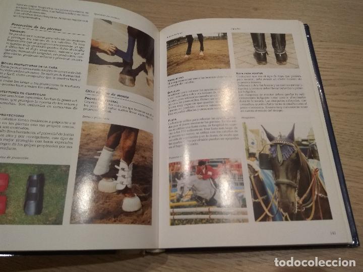 Libros de segunda mano: LA ENCICLOPEDIA DE LOS CABALLOS - JOS&Eacute;E HERMSEN EDIT. LIBSA - Foto 2