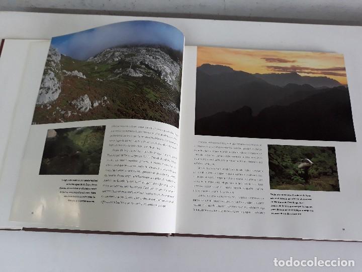 Libros de segunda mano: Parques Nacionales de Espa&ntilde;a. - Foto 5