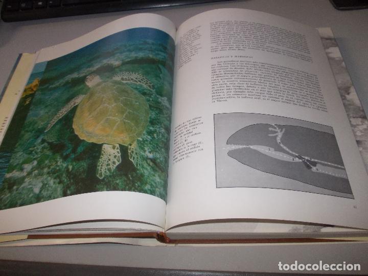 Libros de segunda mano: El mar, Robert C. Miller. Seix Barral 1.974, defectos. - Foto 8