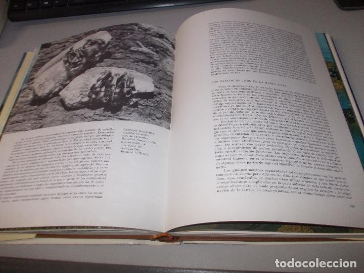Libros de segunda mano: El mar, Robert C. Miller. Seix Barral 1.974, defectos. - Foto 11