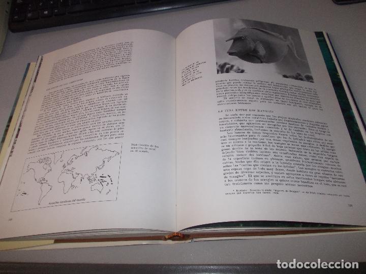 Libros de segunda mano: El mar, Robert C. Miller. Seix Barral 1.974, defectos. - Foto 12