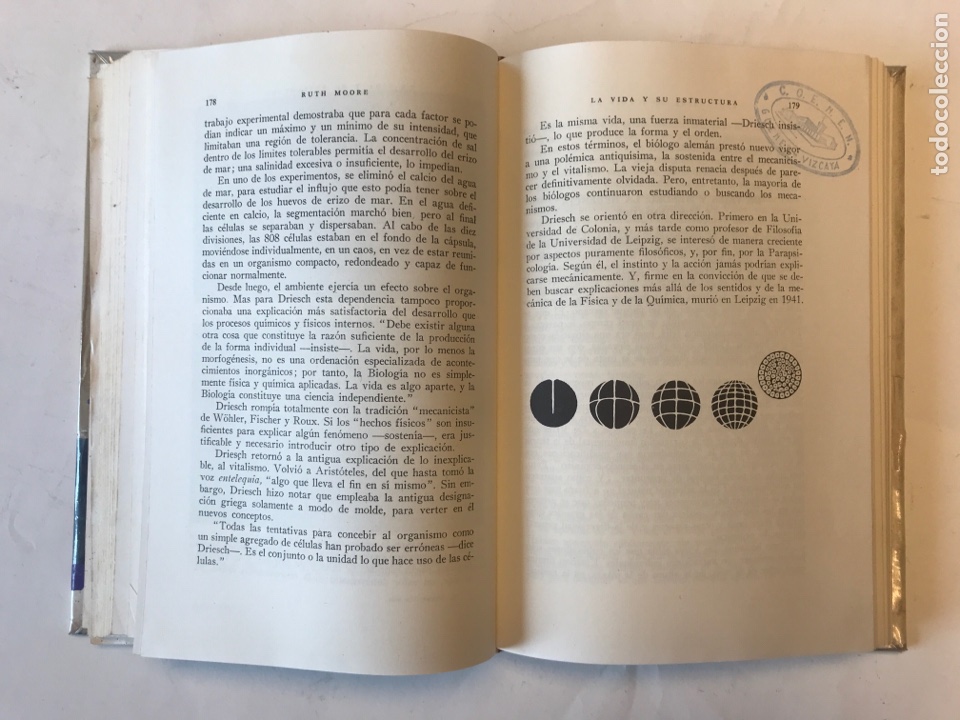 Libros de segunda mano: LA VIDA Y SU ESTRUCTURA POR RUTH MOORE. EDITORIAL LABOR, 1966 - Foto 3