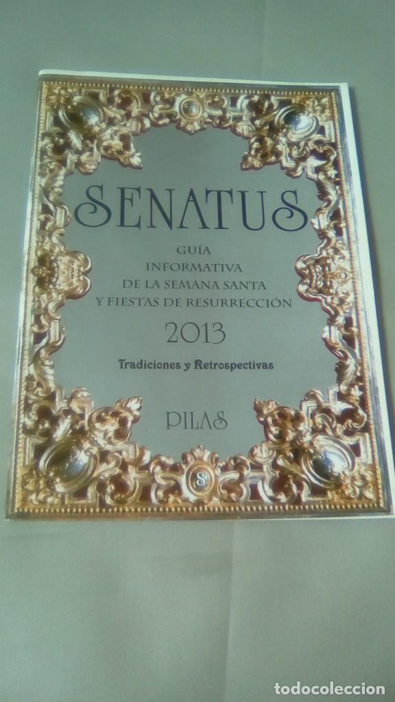 Libri di seconda mano: SENATUS. GUIA INFORMATIVA DE LA SEMANA SANTA Y FIESTAS DE RESURRECCION 2013