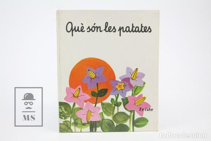 Libros de segunda mano: Libro En Catal&aacute;n - Qu&egrave; S&oacute;n Les Patates / Am&egrave;lia Benet - Ilus. Mar&iacute;a Rius - Edit Teide - Foto 1