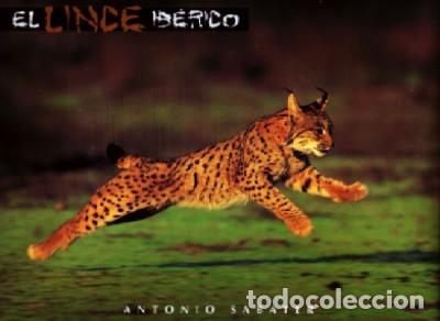 Libros de segunda mano: EL LINCE IBERICO. SABATER,ANTONIO. CP-171 - Foto 1