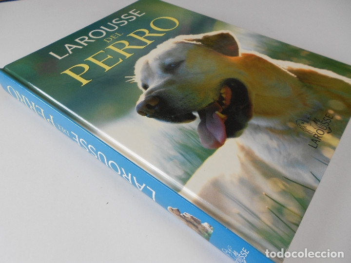 Libros de segunda mano: Larousse del perro, varios autores, Egedsa 2004 - Foto 2
