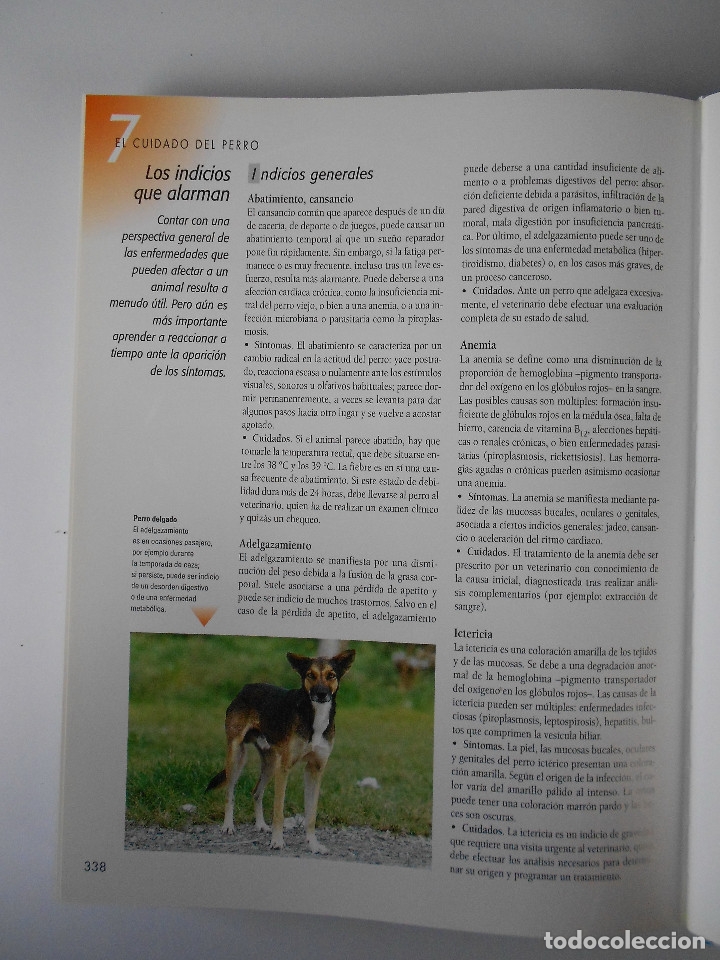 Libros de segunda mano: Larousse del perro, varios autores, Egedsa 2004 - Foto 4