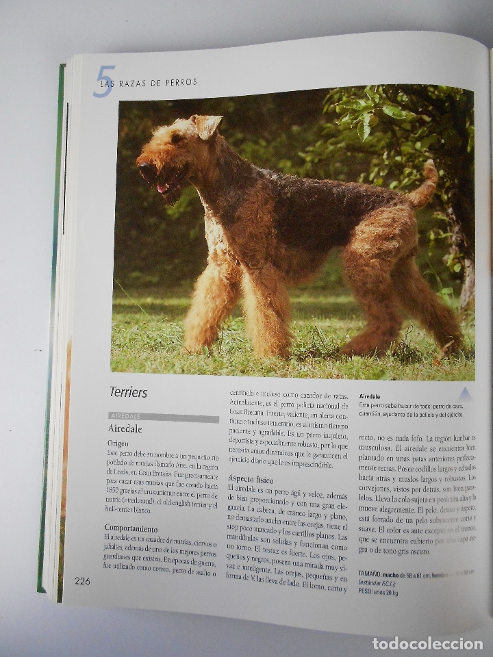 Libros de segunda mano: Larousse del perro, varios autores, Egedsa 2004 - Foto 6