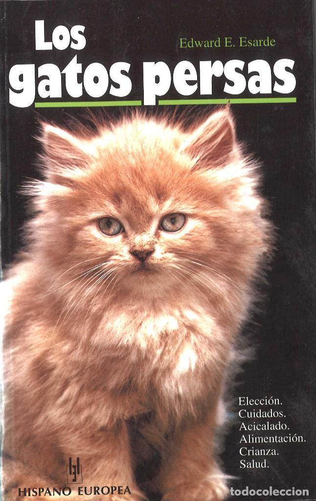 Libros de segunda mano: Los gatos persas. 2000 - Foto 1
