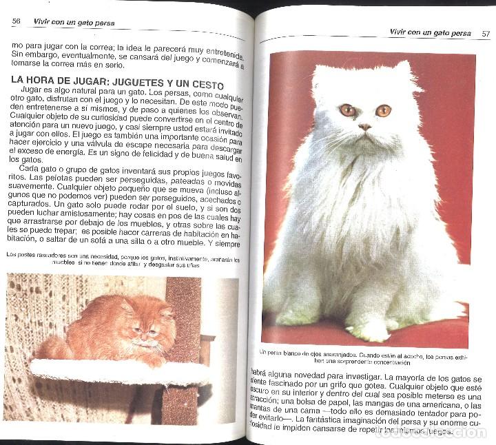 Libros de segunda mano: Los gatos persas. 2000 - Foto 2