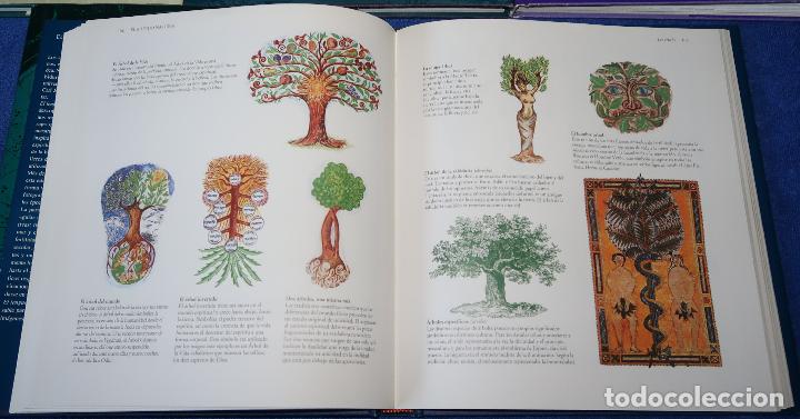 Libros de segunda mano: El lenguaje secreto - David Fontana - C&iacute;rculo de lectores (1993) - Foto 2